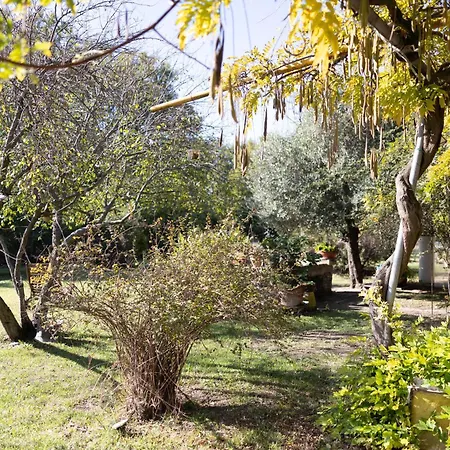Locanda Acetaia Malagoli Daniele Castelfranco Emilia Exterior photo